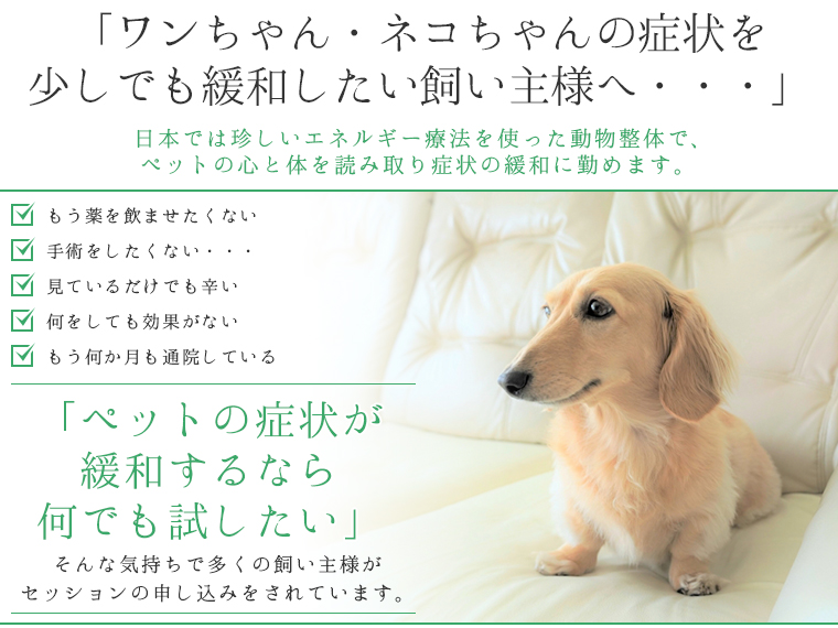 ワンちゃん・ネコちゃんの症状を少しでも緩和したい飼い主様へ・・・　日本では珍しいエネルギー療法を使った動物整体で、ペットの心と体を読み取り症状の緩和に勤めます。